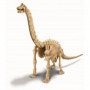 Zestaw naukowy Wykopaliska - Brachiozaur